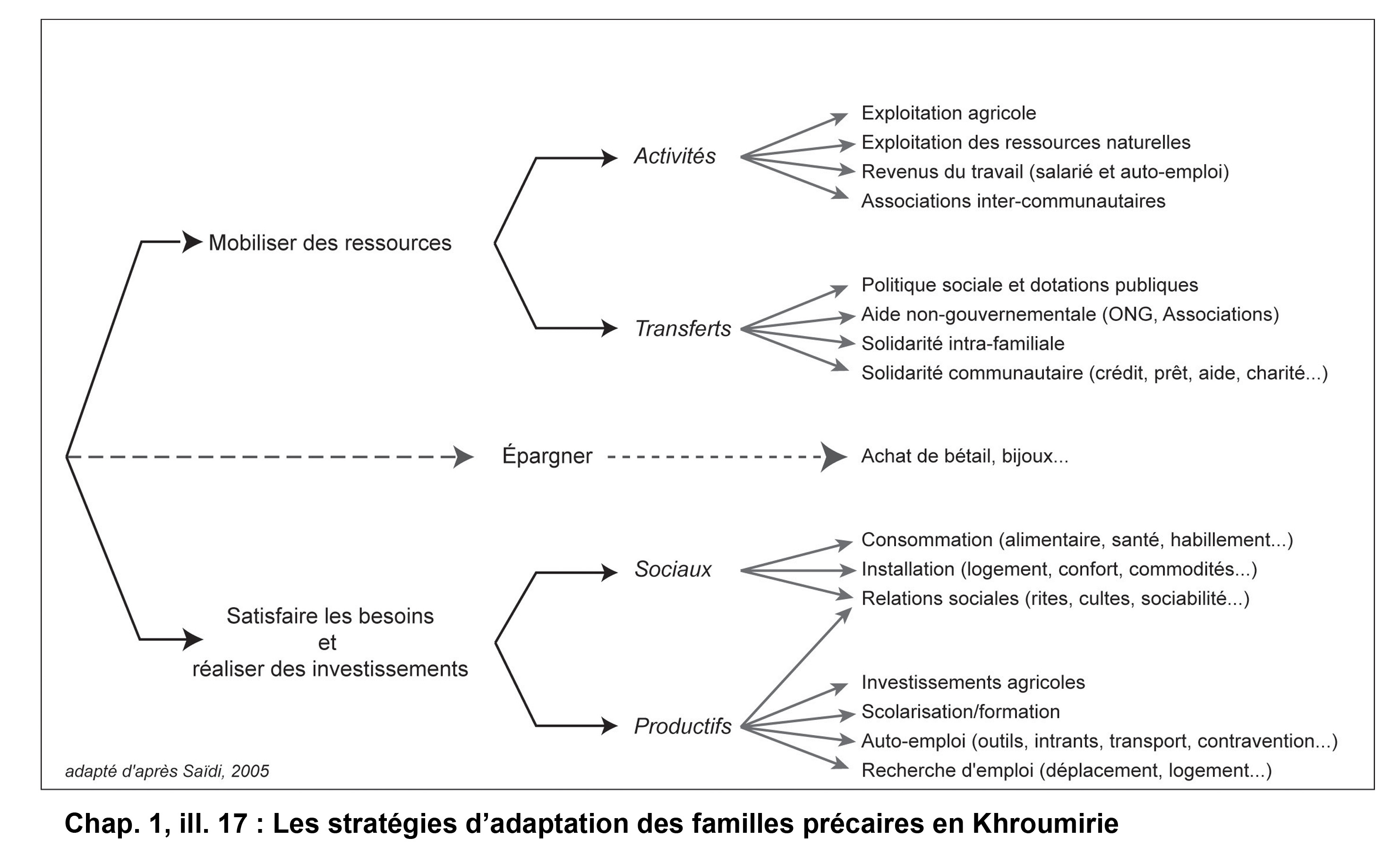 Illustration 17 : Les stratégies d’adaptation des familles précaires en Khroumirie