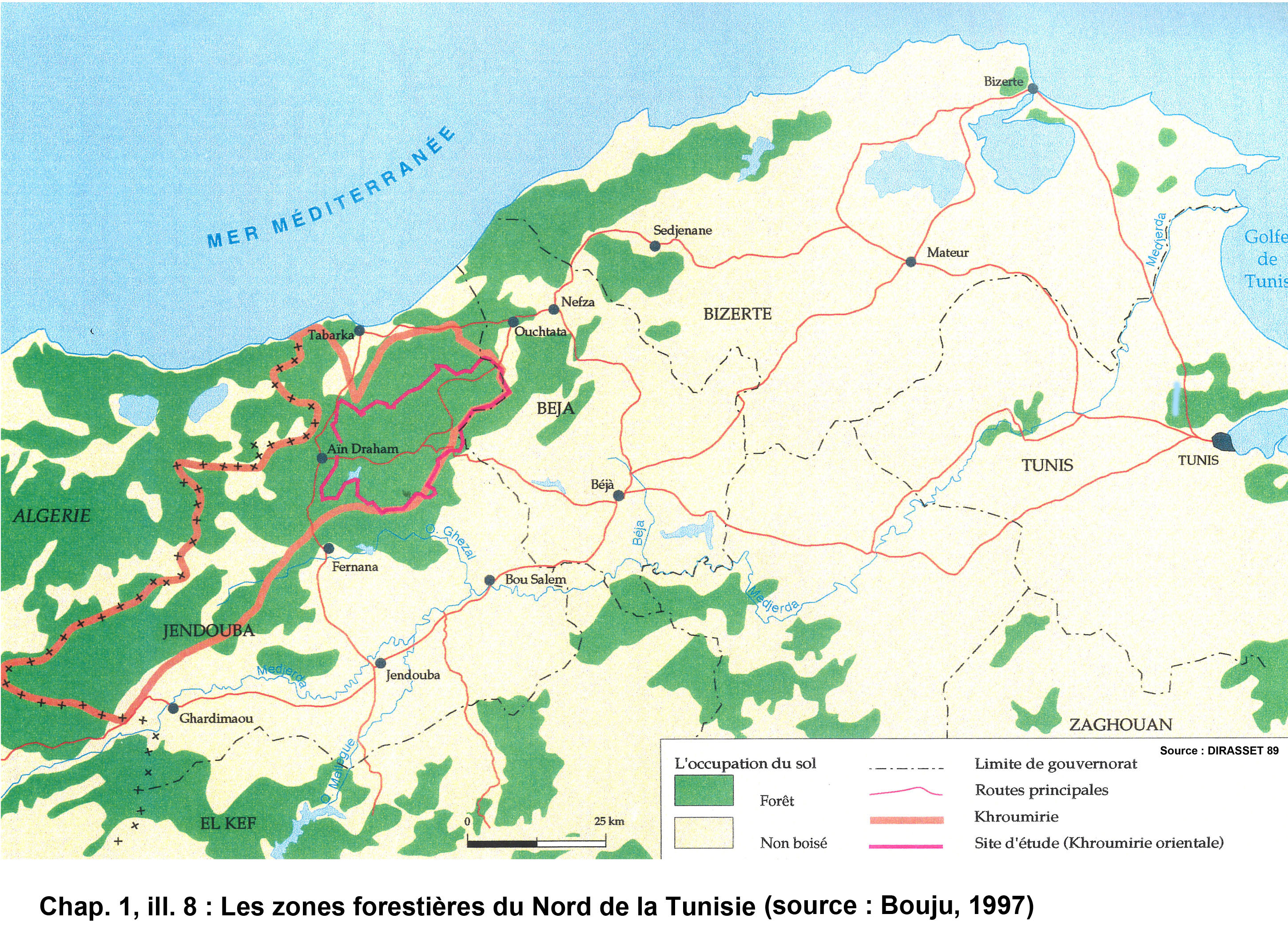 Illustration 8 : Les zones forestières du Nord de la Tunisie