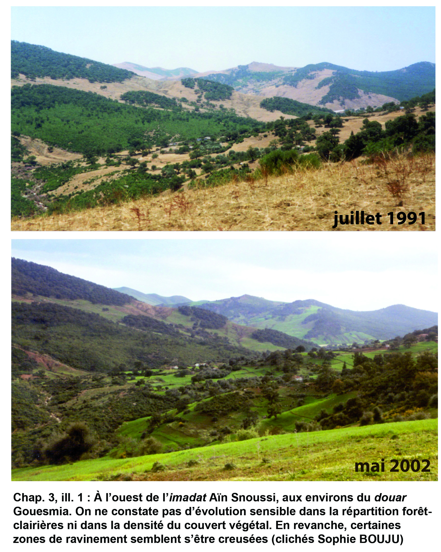 Illustration 1 : Évolution des paysages de 1991 à 2002 (imadat Aïn Snoussi)