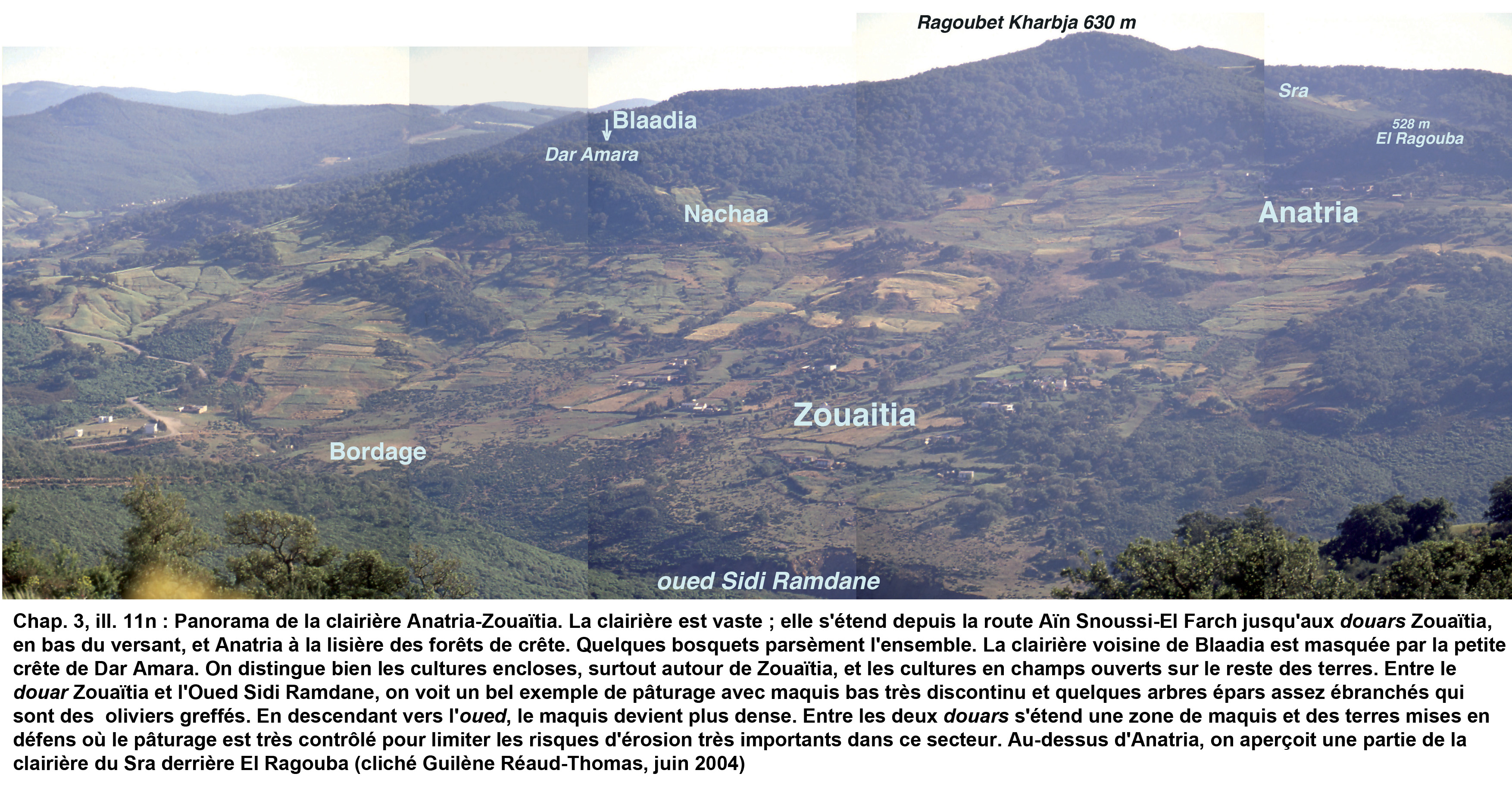 11n- Panorama de la clairière Anatria - Zouaïtia