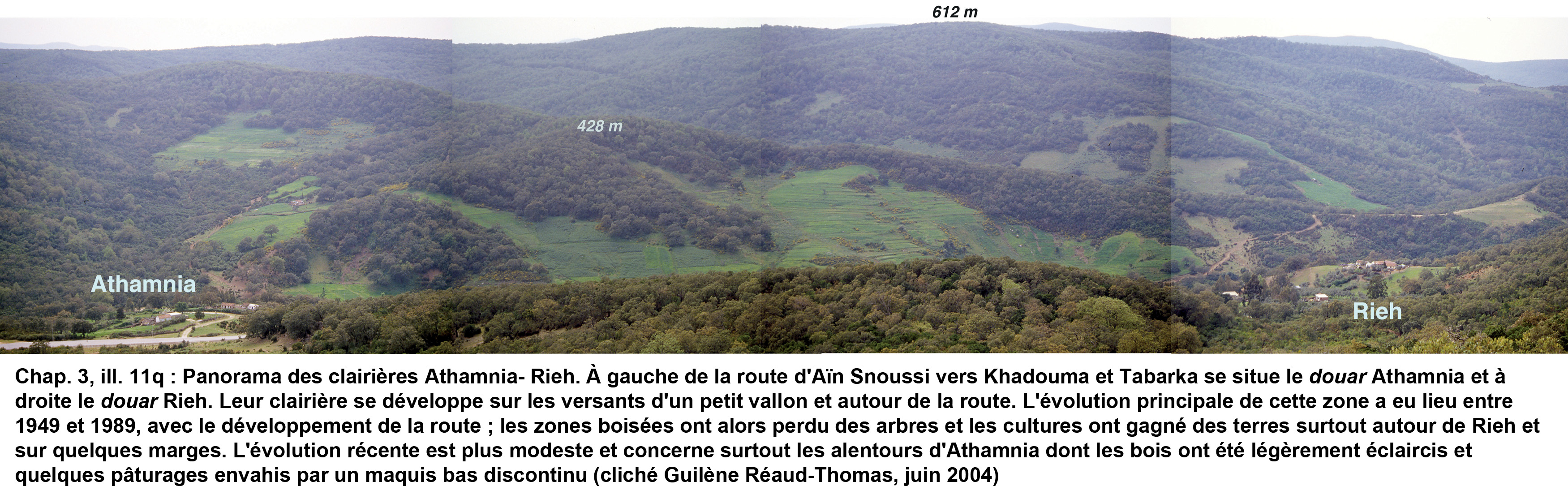 11q- Panorama des clairières Athamnia - Rieh