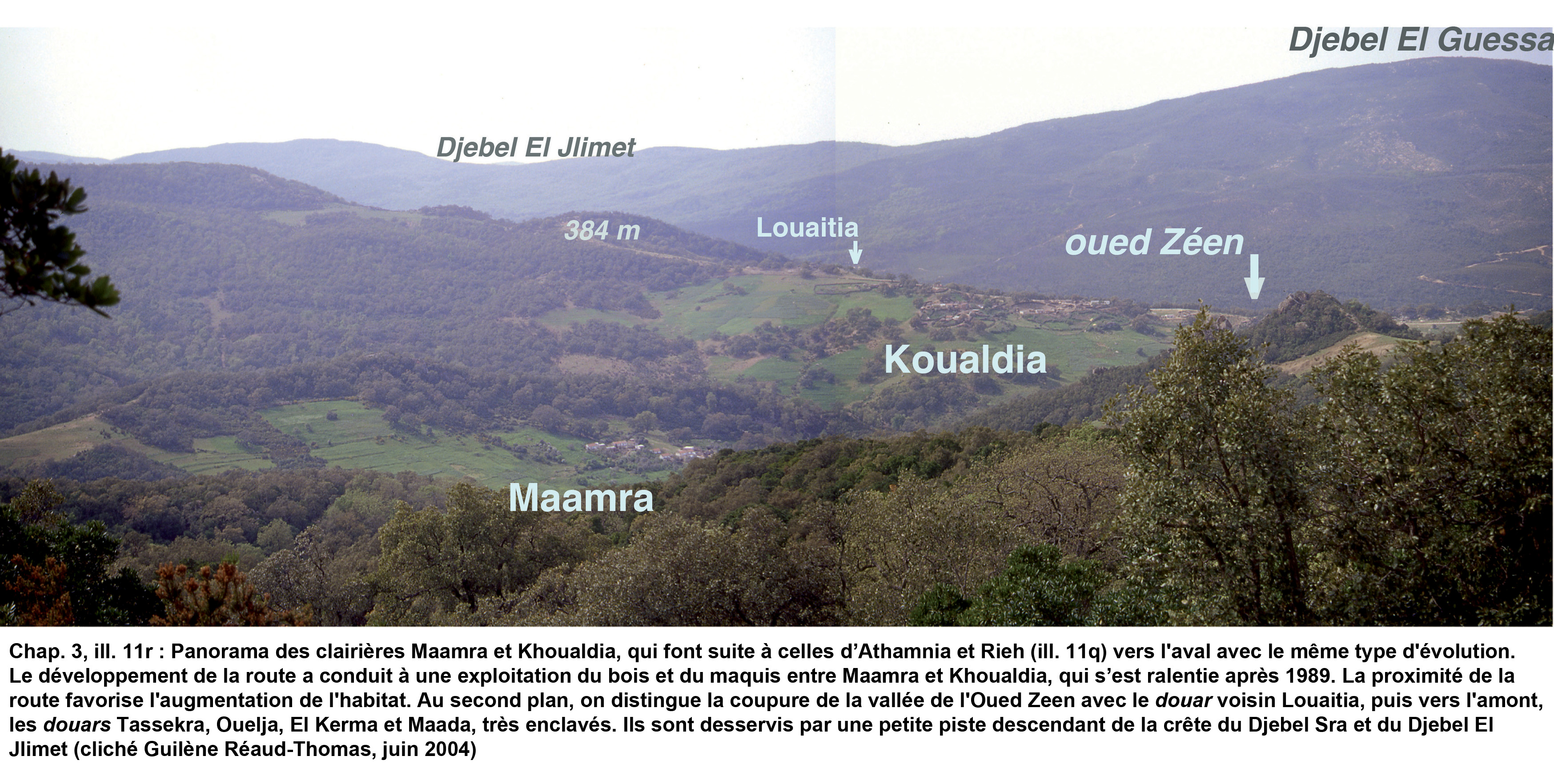 11r- Panorama des clairières Maamra et Khoualdia