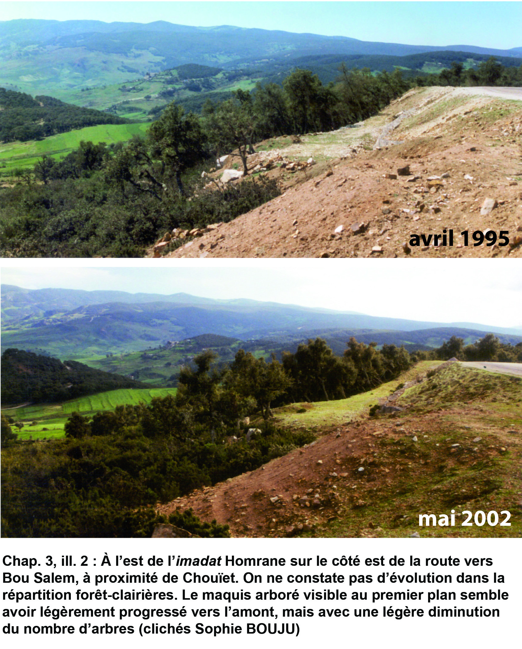 Illustration 2 : Évolution des paysages de 1995 à 2002 (imadat Homrane)