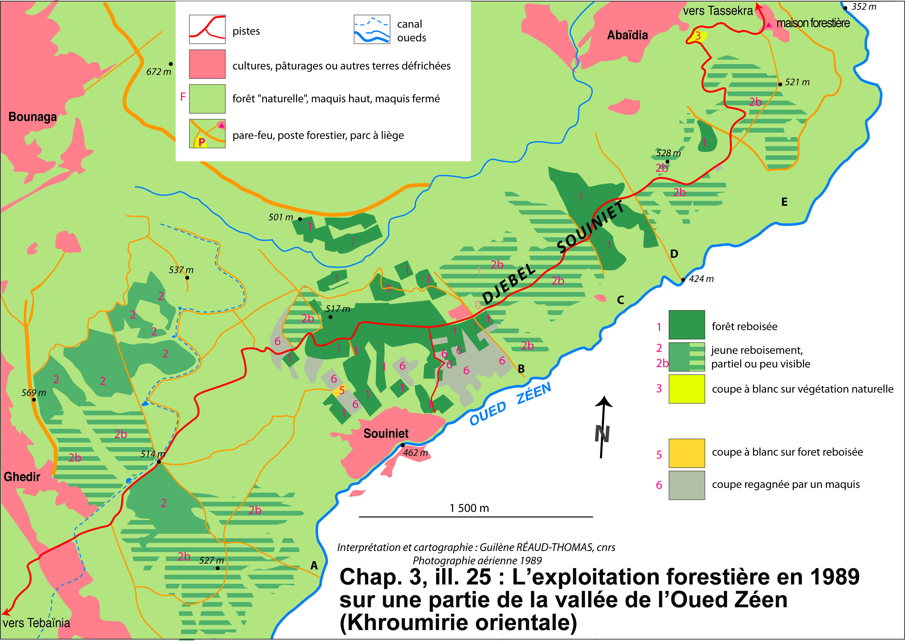 Illustration 25 : L’exploitation forestière en 1989 sur une partie de la vallée de l’Oued Zéen (Khroumirie orientale)