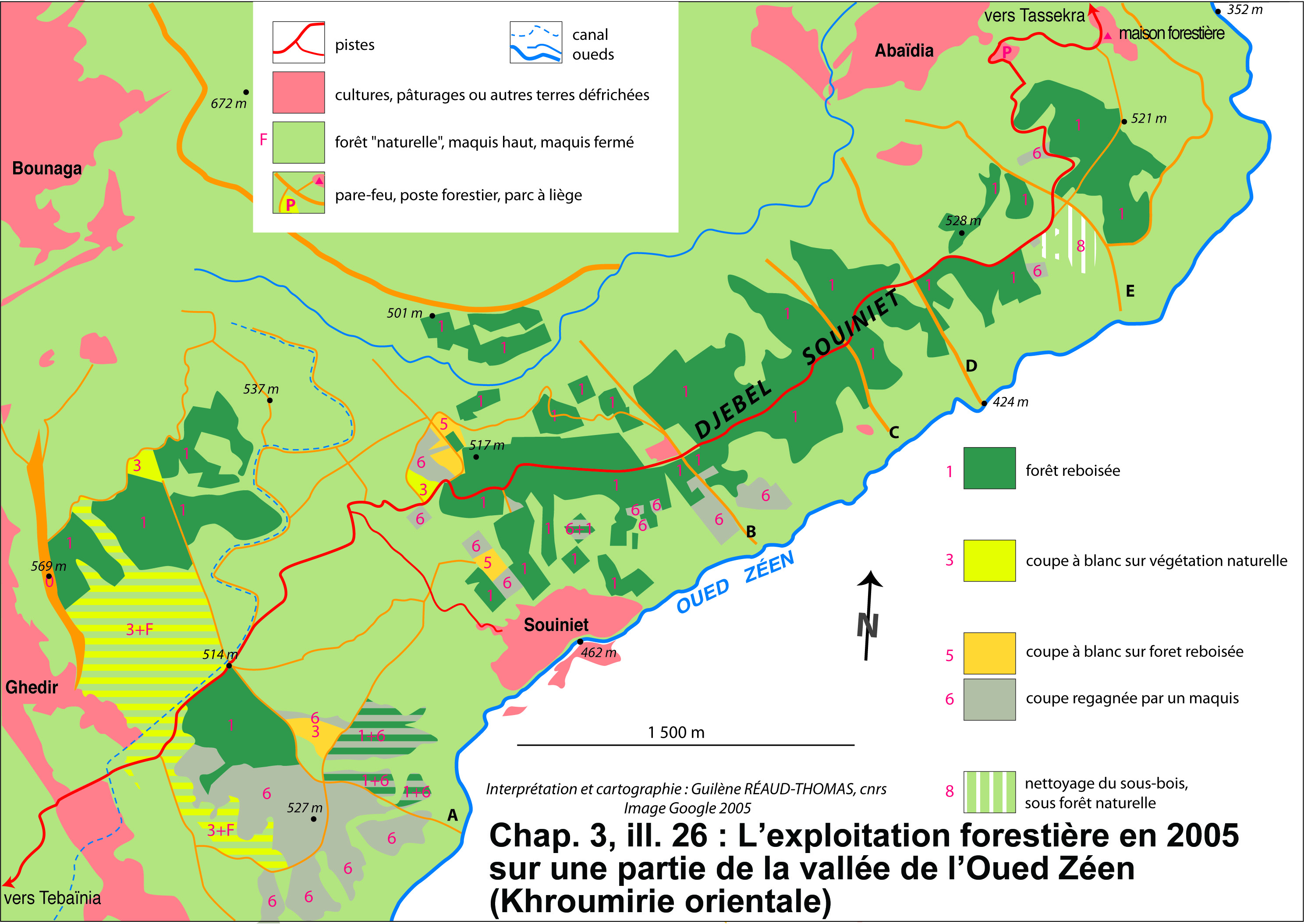 Illustration 26 : L’exploitation forestière en 2005 sur une partie de la vallée de l’Oued Zéen (Khroumirie orientale)