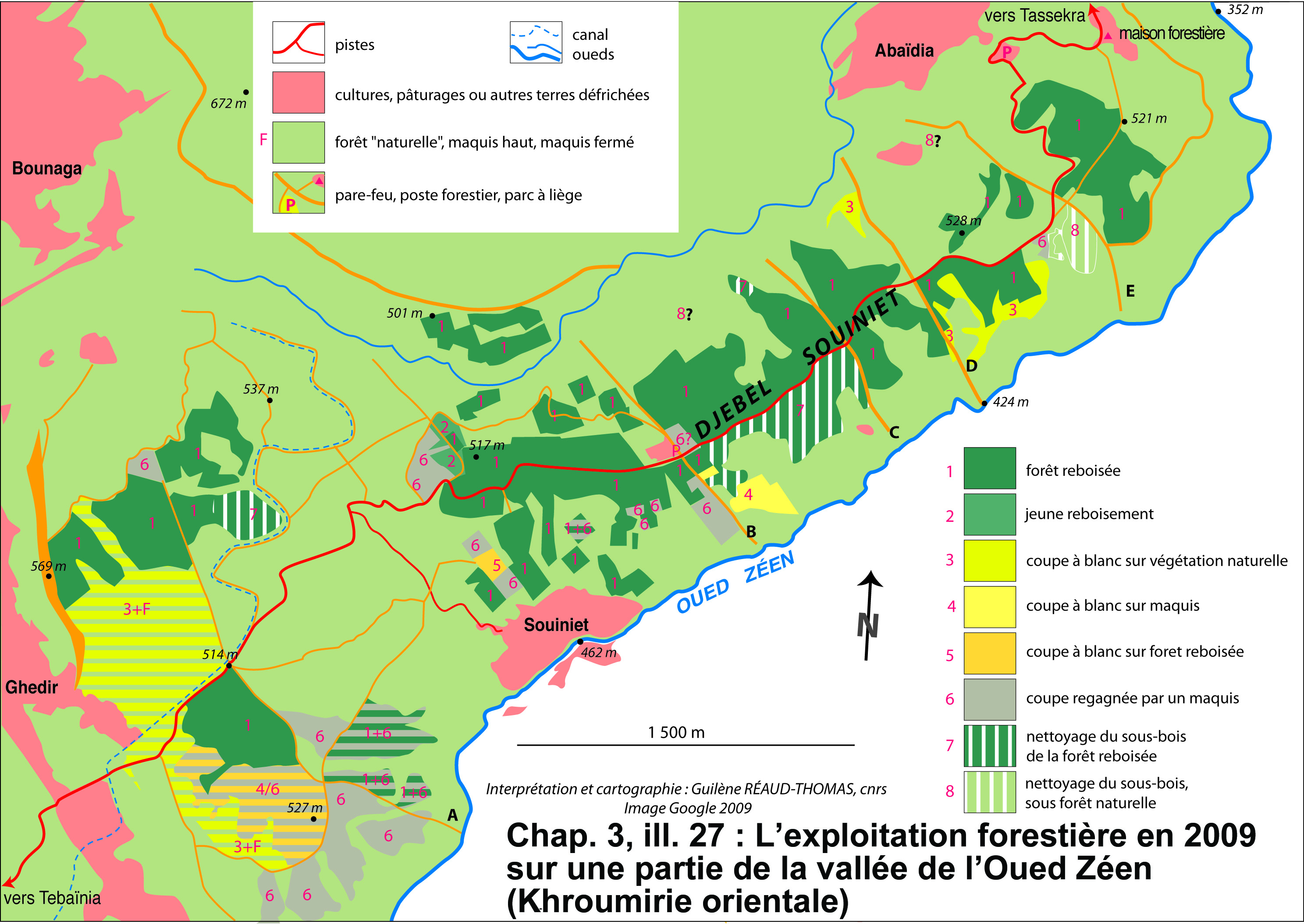 Illustration 27 : L’exploitation forestière en 2009 sur une partie de la vallée de l’Oued Zéen (Khroumirie orientale)