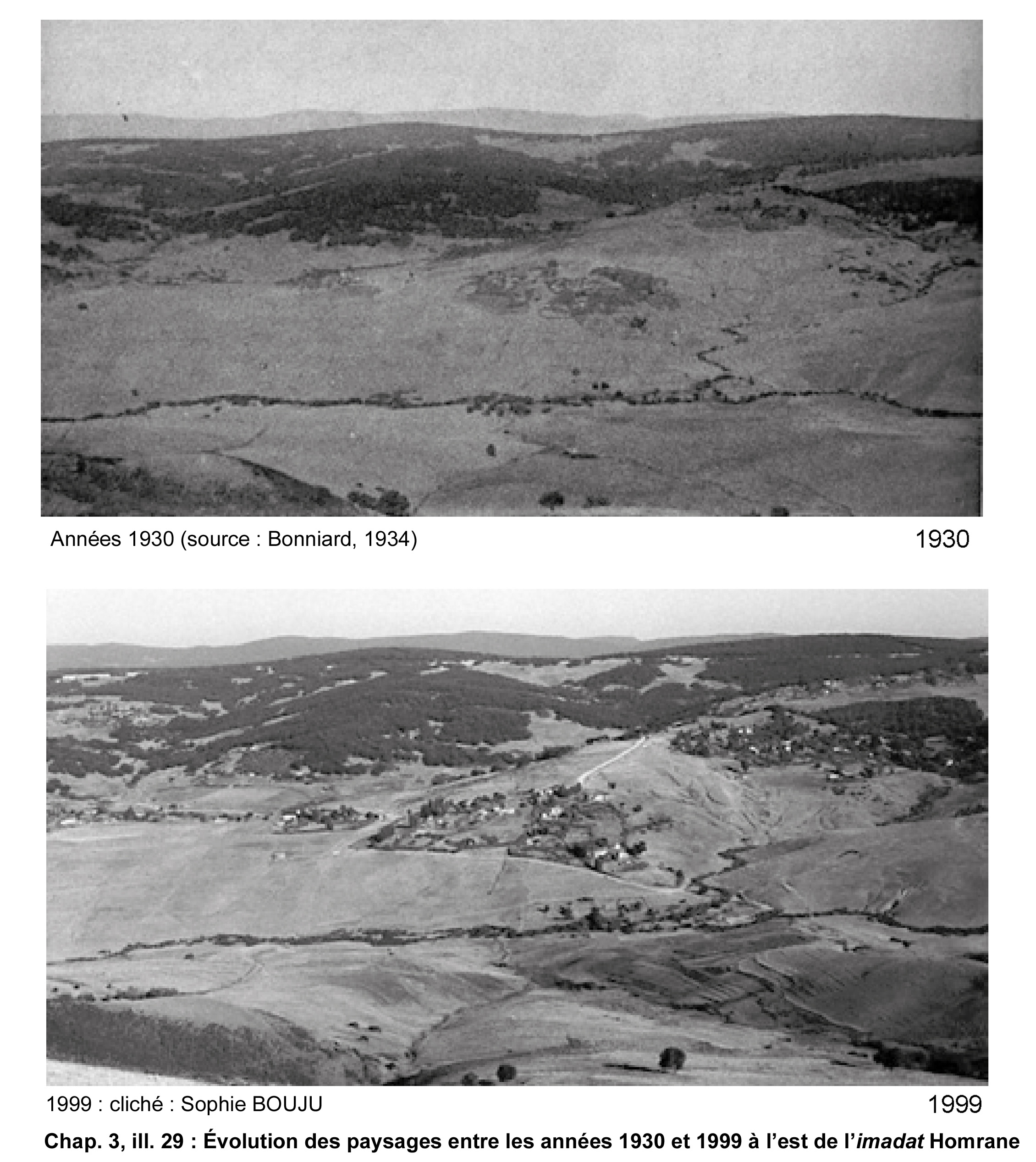Illustration 29 : Évolution des paysages entre les années 1930 et 1999 à l’est de l’imadat Homrane