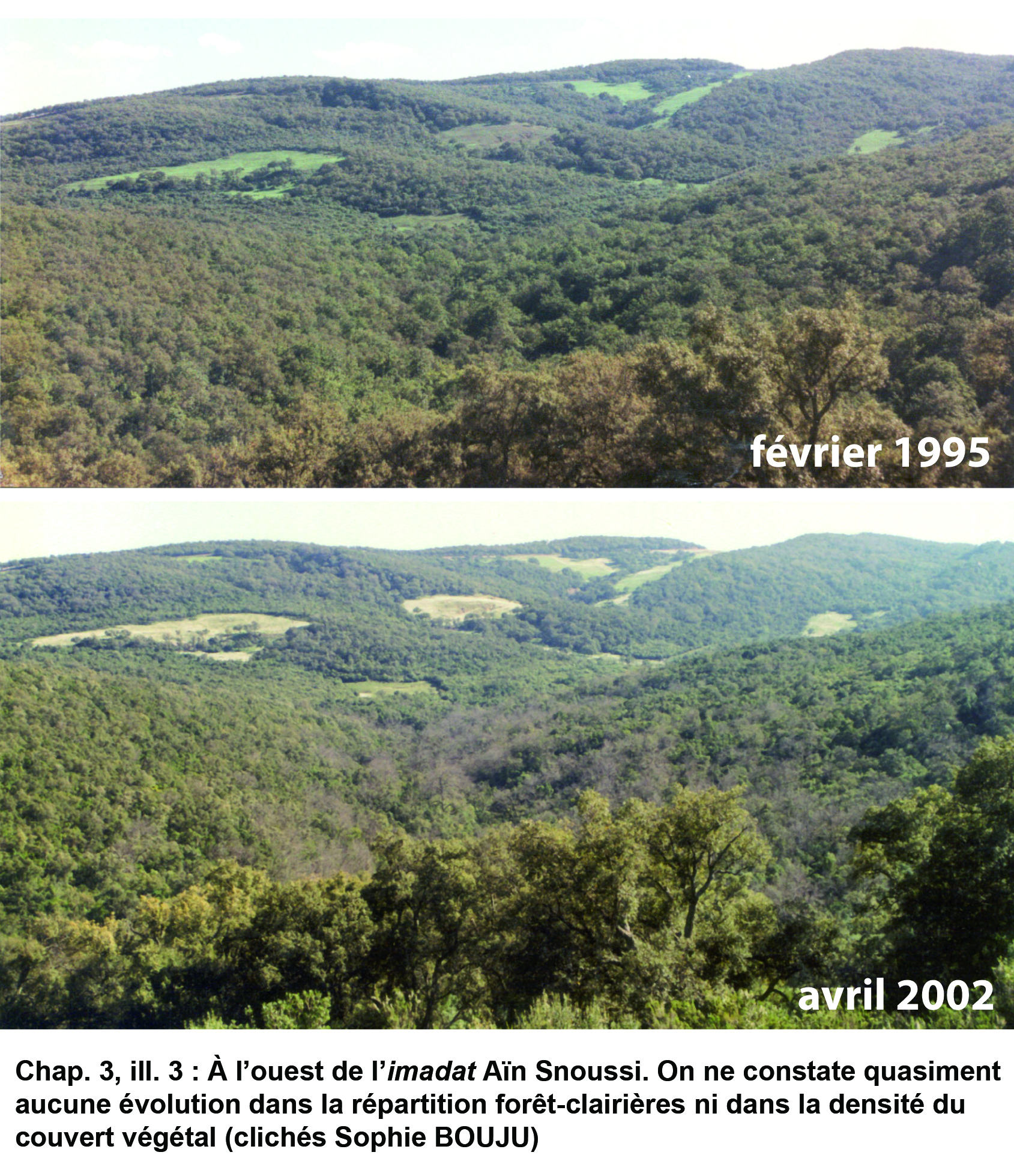 Illustration 3 : Évolution des paysages de 1995 à 2002 (imadat Aïn Snoussi)