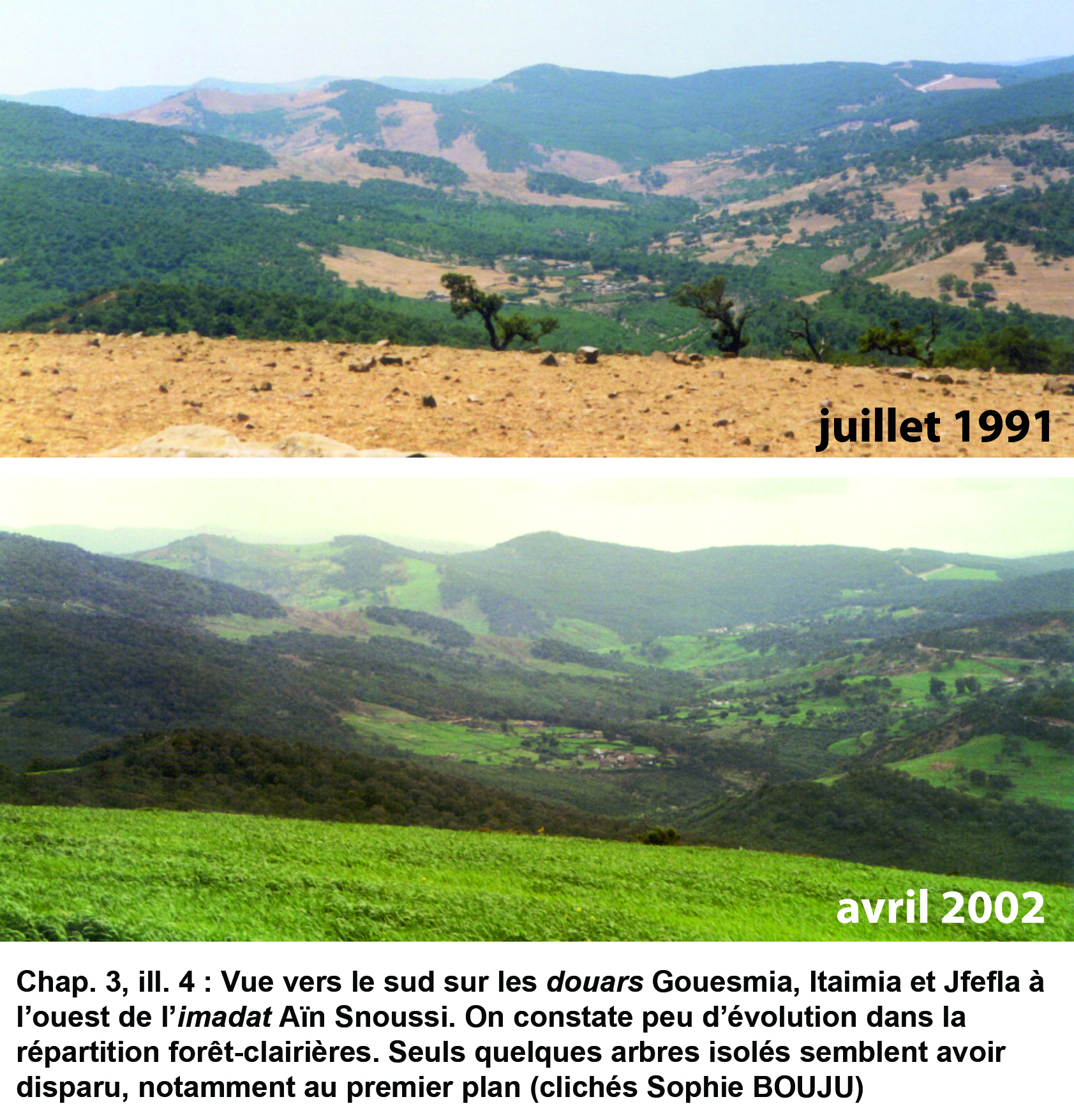 Illustration 4 : Évolution des paysages de 1991 à 2002 (imadat Aïn Snoussi)