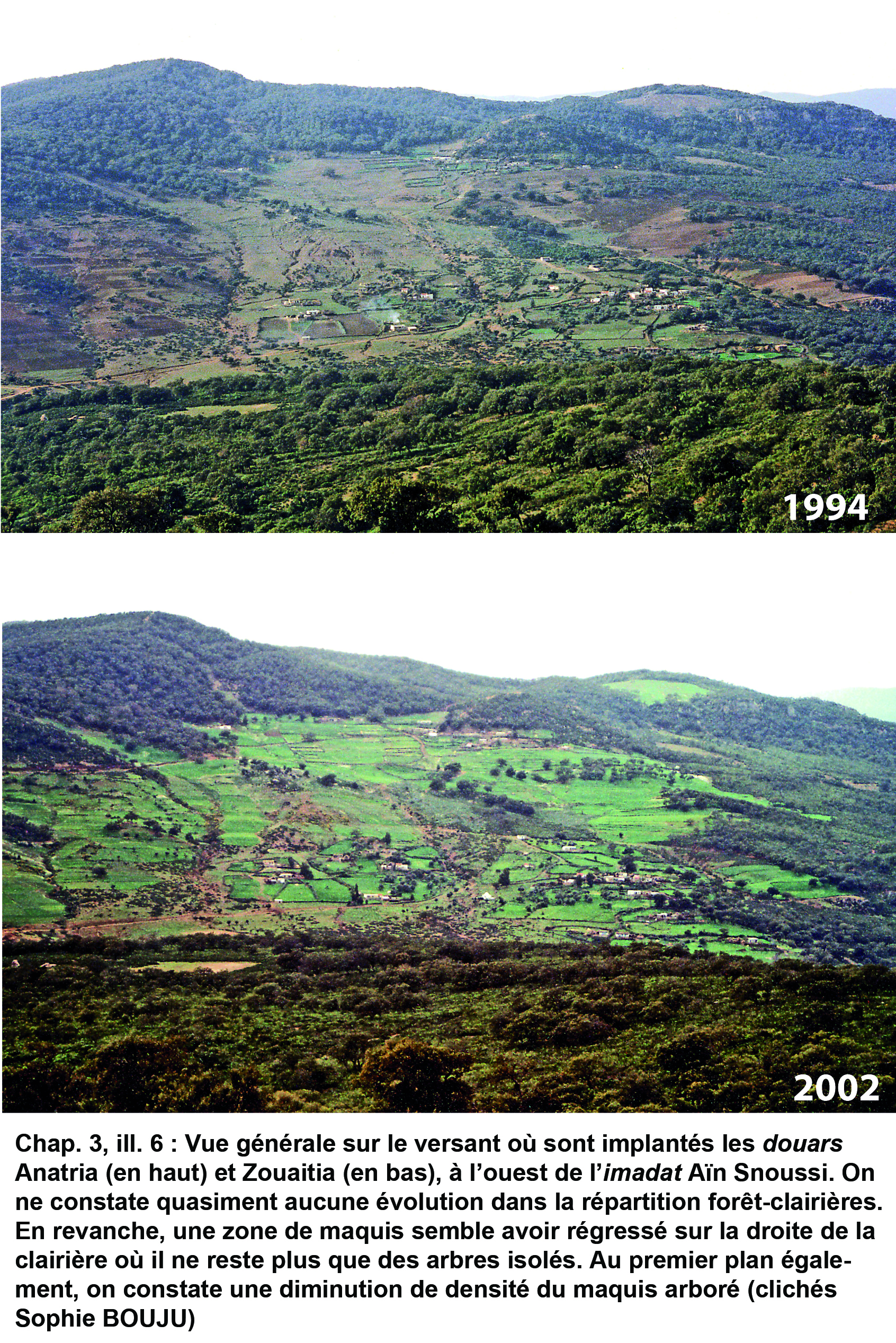 Illustration 6 : Évolution des paysages de 1994 à 2002 (imadat Aïn Snoussi)