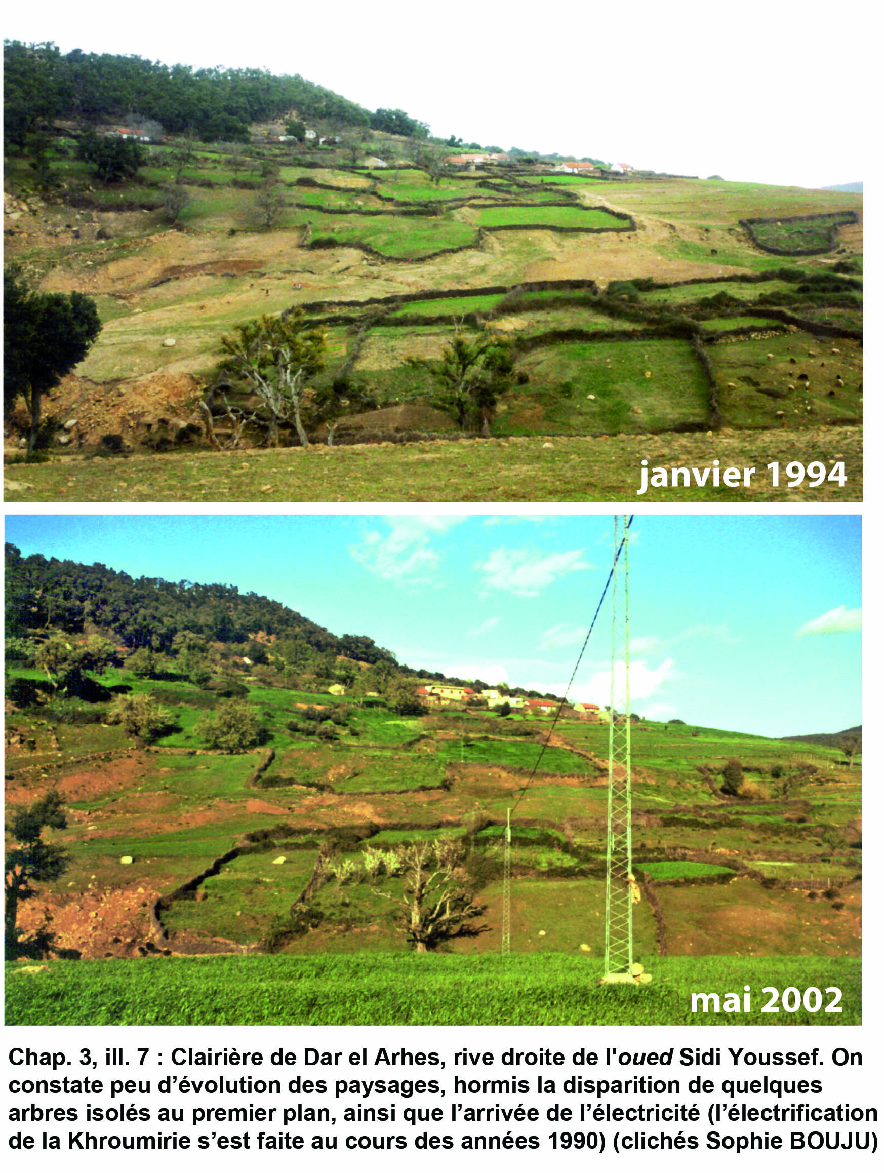 Illustration 7 : Évolution des paysages de 1994 à 2002 (imadat Aïn Sellem)