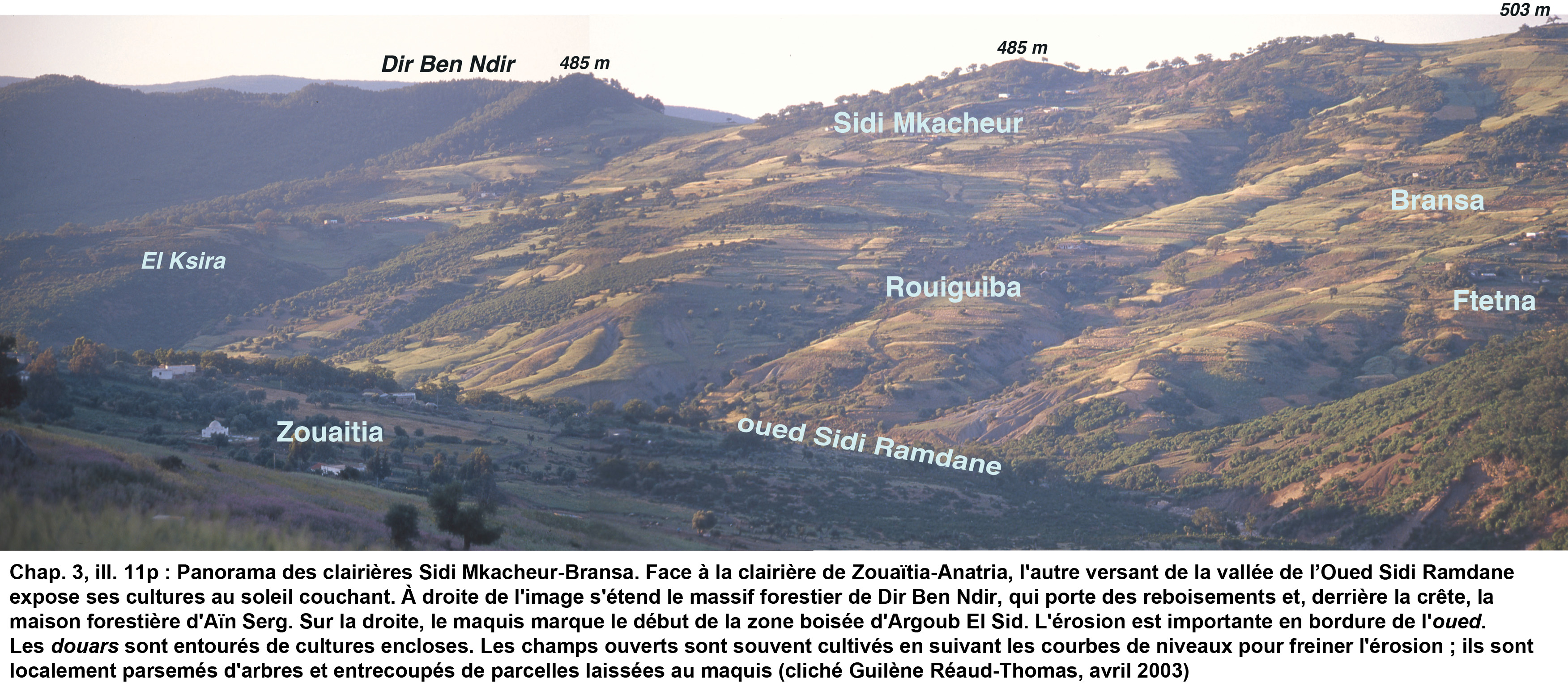 11p- Panorama des clairières Sidi Mkacheur - Bransa